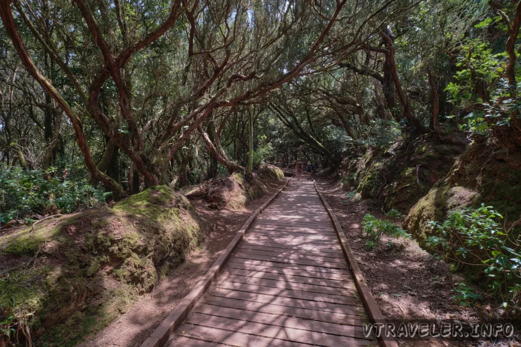 Parque rural de Anaga - Tenerife