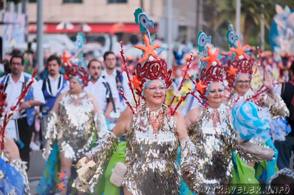 Carnival in Santa Cruz de Tenerife 3