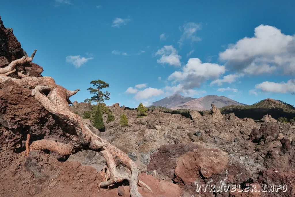 Clima en el Parque Nacional del Teide en Tenerife