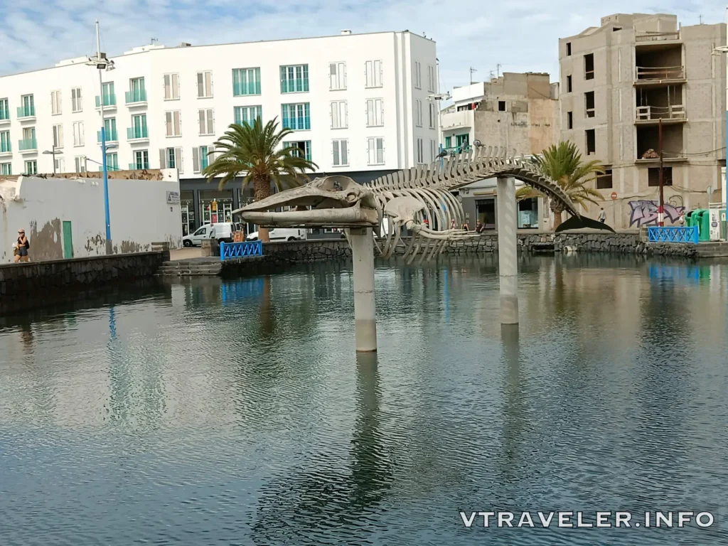 Esqueleto de Ballena - Arrecife