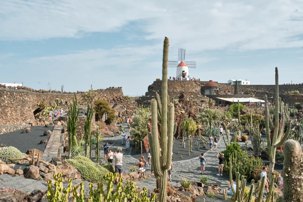 Jardin de Cactus - Lanzarote